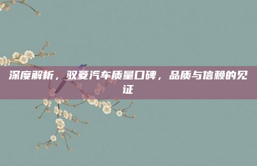 深度解析，驭菱汽车质量口碑，品质与信赖的见证