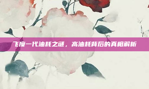 飞度一代油耗之谜，高油耗背后的真相解析