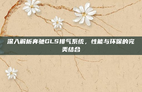 深入解析奔驰GLS排气系统,性能与环保的完美结合