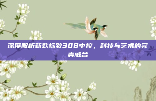 深度解析新款标致308中控,科技与艺术的完美融合