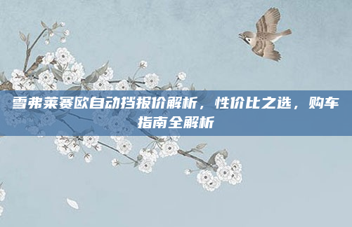 雪弗莱赛欧自动挡报价解析,性价比之选,购车指南全解析