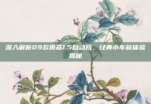 深入解析09款雨燕1.5自动挡,经典小车新体验揭秘