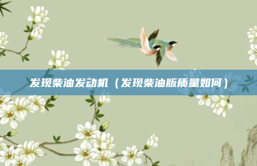 发现柴油发动机(发现柴油版质量如何)