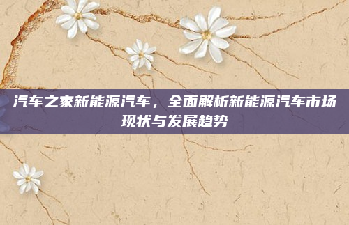 汽车之家新能源汽车,全面解析新能源汽车市场现状与发展趋势