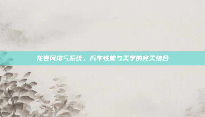 龙卷风排气系统，汽车性能与美学的完美结合