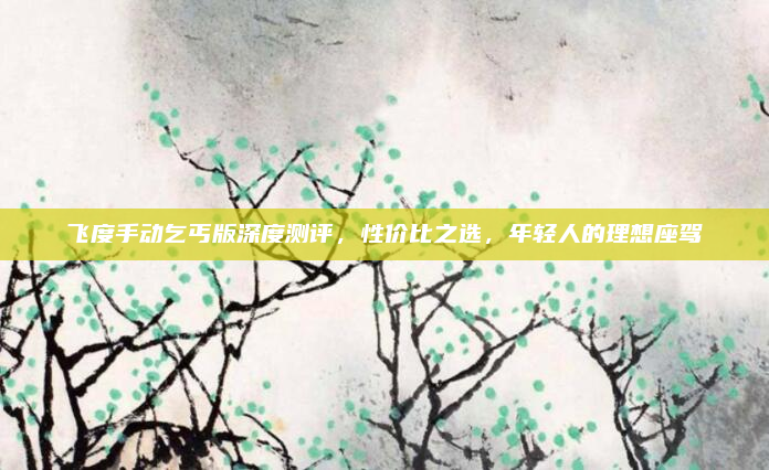 飞度手动乞丐版深度测评，性价比之选，年轻人的理想座驾