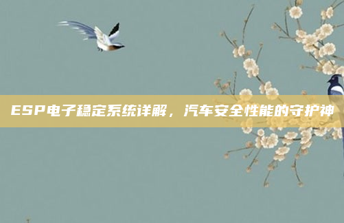 ESP电子稳定系统详解,汽车安全性能的守护神