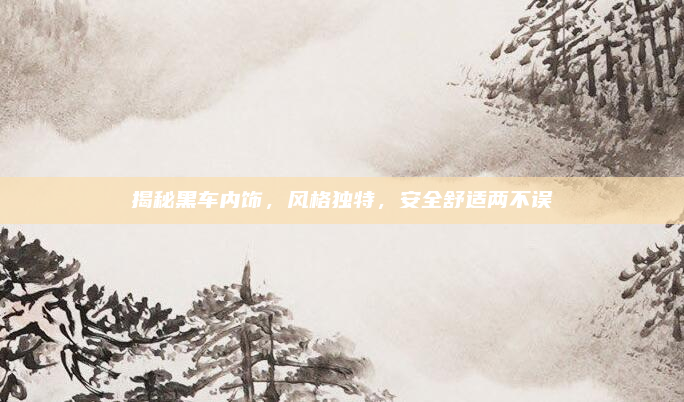 揭秘黑车内饰，风格独特，安全舒适两不误