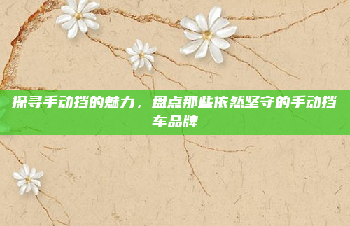 探寻手动挡的魅力，盘点那些依然坚守的手动挡车品牌