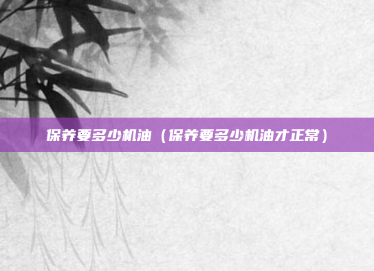 保养要多少机油(保养要多少机油才正常)