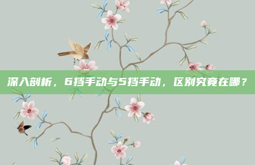 深入剖析,6挡手动与5挡手动,区别究竟在哪?
