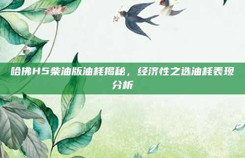 哈佛H5柴油版油耗揭秘，经济性之选油耗表现分析