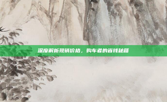 深度解析现销价格,购车者的省钱秘籍