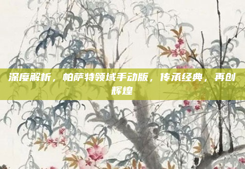 深度解析，帕萨特领域手动版，传承经典，再创辉煌