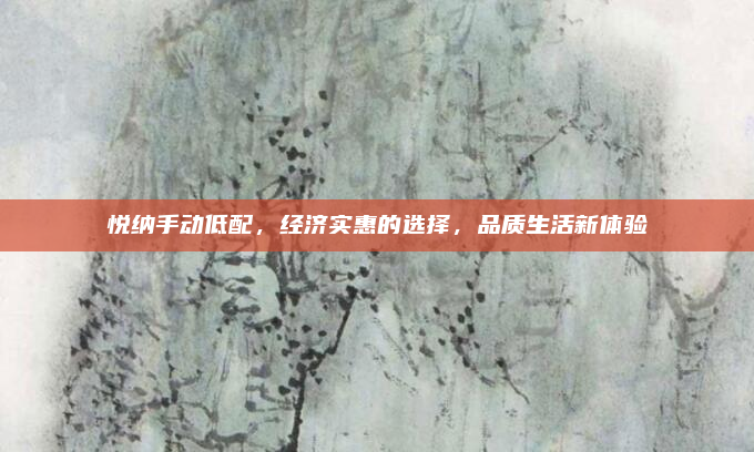 悦纳手动低配,经济实惠的选择,品质生活新体验