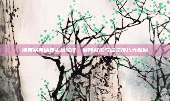 别克路尊油耗表现解读,油耗数据与驾驶技巧大揭秘