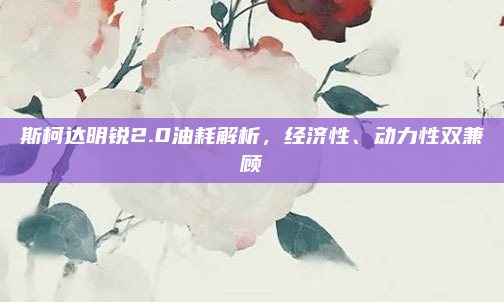 斯柯达明锐2.0油耗解析,经济性、动力性双兼顾