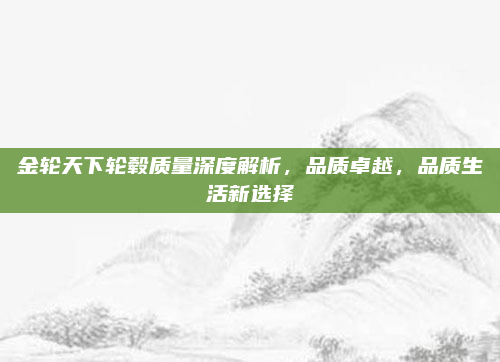 金轮天下轮毂质量深度解析,品质卓越,品质生活新选择