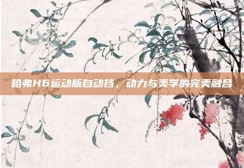 哈弗H6运动版自动挡,动力与美学的完美融合