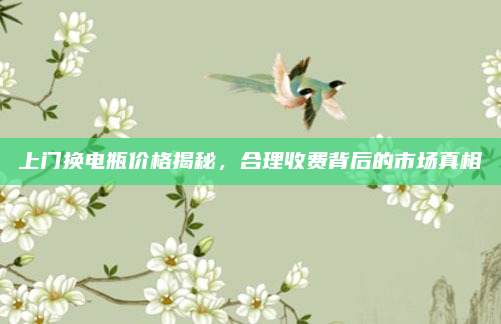 上门换电瓶价格揭秘，合理收费背后的市场真相