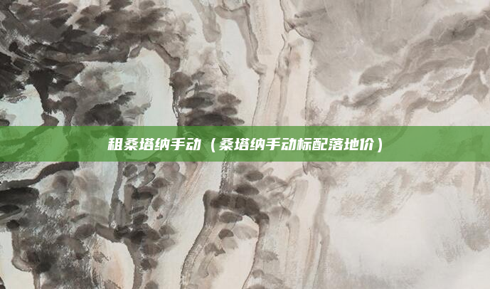 租桑塔纳手动(桑塔纳手动标配落地价)