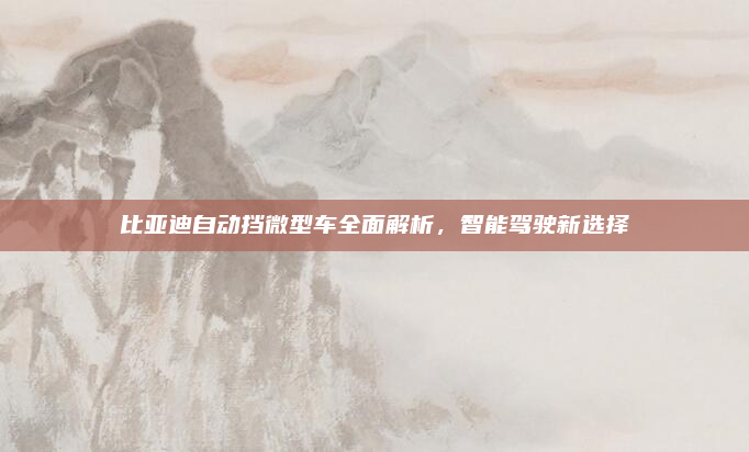 比亚迪自动挡微型车全面解析,智能驾驶新选择
