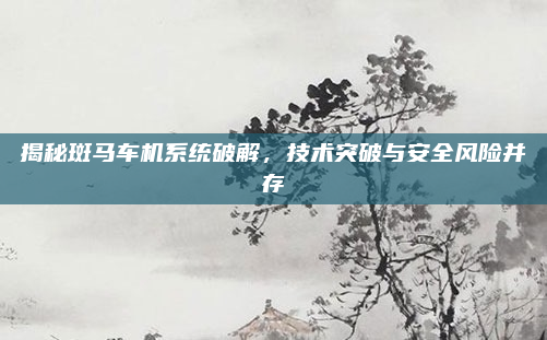揭秘斑马车机系统破解，技术突破与安全风险并存