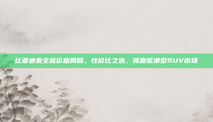 比亚迪宋全新价格揭晓,性价比之选,领跑紧凑型SUV市场