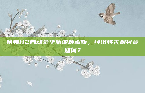 哈弗H2自动豪华版油耗解析,经济性表现究竟如何?