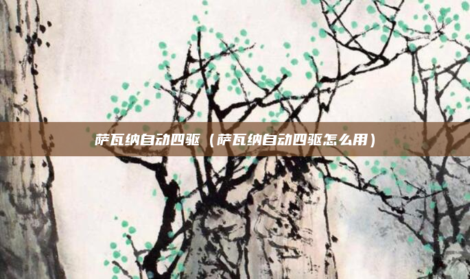 萨瓦纳自动四驱（萨瓦纳自动四驱怎么用）