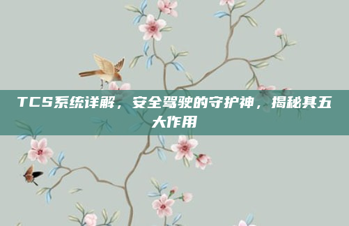 TCS系统详解,安全驾驶的守护神,揭秘其五大作用