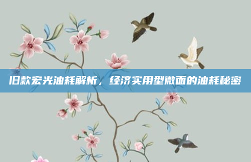 旧款宏光油耗解析,经济实用型微面的油耗秘密