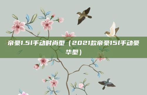 帝豪1.5l手动时尚型（2021款帝豪15l手动豪华型）
