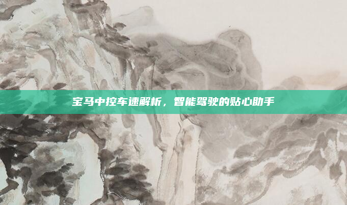 宝马中控车速解析,智能驾驶的贴心助手