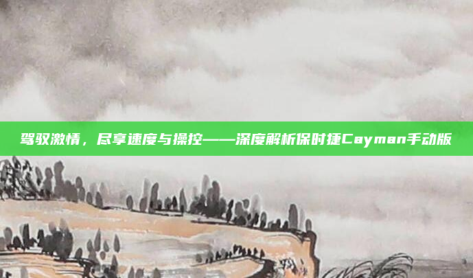 驾驭激情,尽享速度与操控——深度解析保时捷Cayman手动版