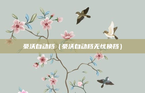 豪沃自动档（豪沃自动档无忧换挡）