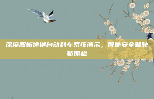 深度解析途铠自动刹车系统演示，智能安全驾驶新体验