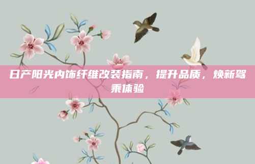 日产阳光内饰纤维改装指南，提升品质，焕新驾乘体验