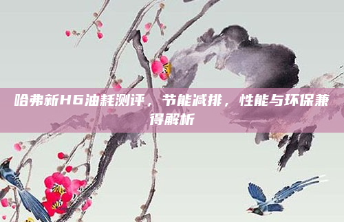 哈弗新H6油耗测评，节能减排，性能与环保兼得解析