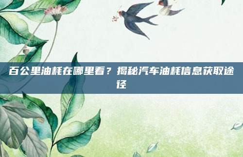 百公里油耗在哪里看?揭秘汽车油耗信息获取途径