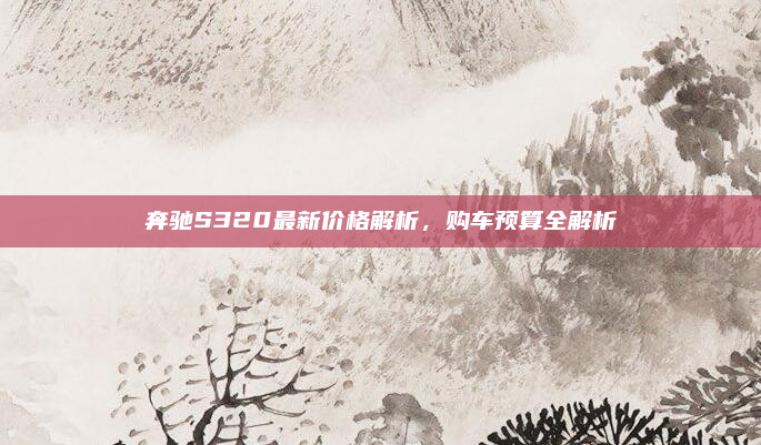 奔驰S320最新价格解析，购车预算全解析