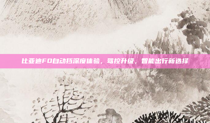 比亚迪FO自动挡深度体验,驾控升级,智能出行新选择