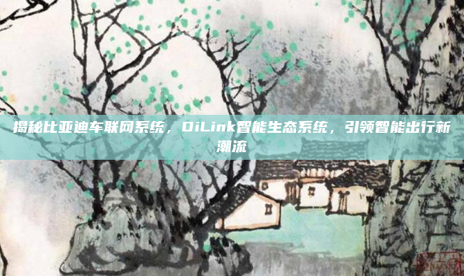 揭秘比亚迪车联网系统,DiLink智能生态系统,引领智能出行新潮流