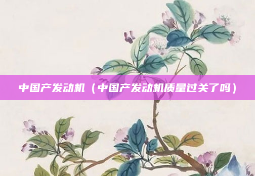 中国产发动机（中国产发动机质量过关了吗）