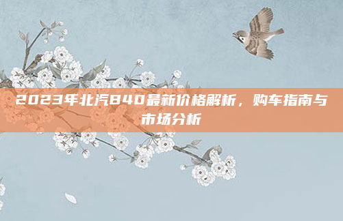 2023年北汽B40最新价格解析,购车指南与市场分析