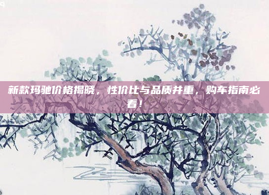 新款玛驰价格揭晓，性价比与品质并重，购车指南必看！