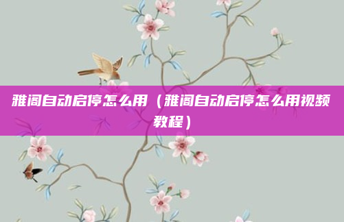 雅阁自动启停怎么用(雅阁自动启停怎么用视频教程)
