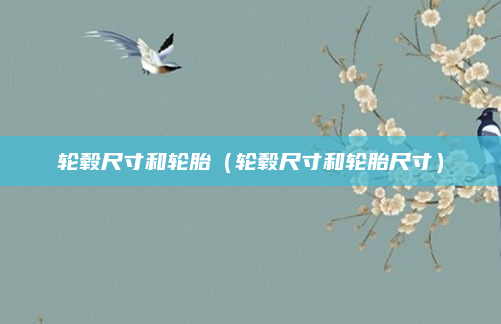 轮毂尺寸和轮胎（轮毂尺寸和轮胎尺寸）
