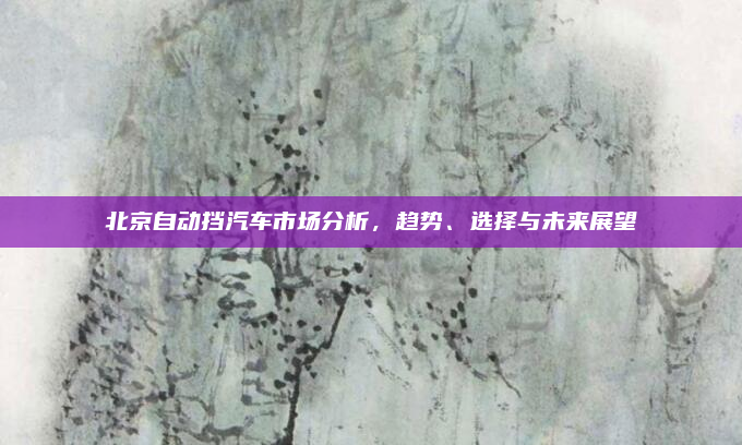 北京自动挡汽车市场分析，趋势、选择与未来展望