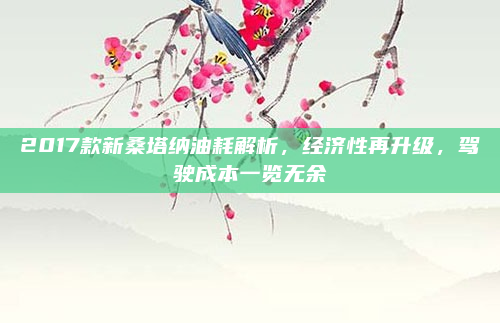 2017款新桑塔纳油耗解析,经济性再升级,驾驶成本一览无余